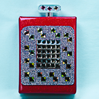 Perfume Bottle Evening Bag Clutch 