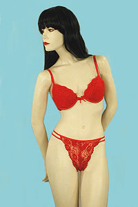 Lace and Swiss Dot Net Bra Set