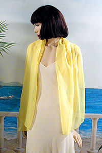 Chiffon Shawl Wrap Scarf for Special Events Weddings Proms